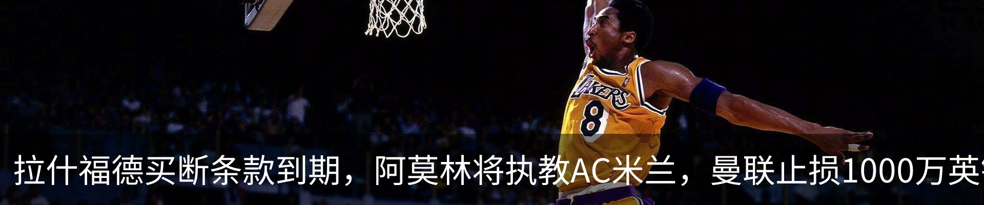 最新动态